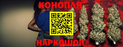 кокс Нальчик